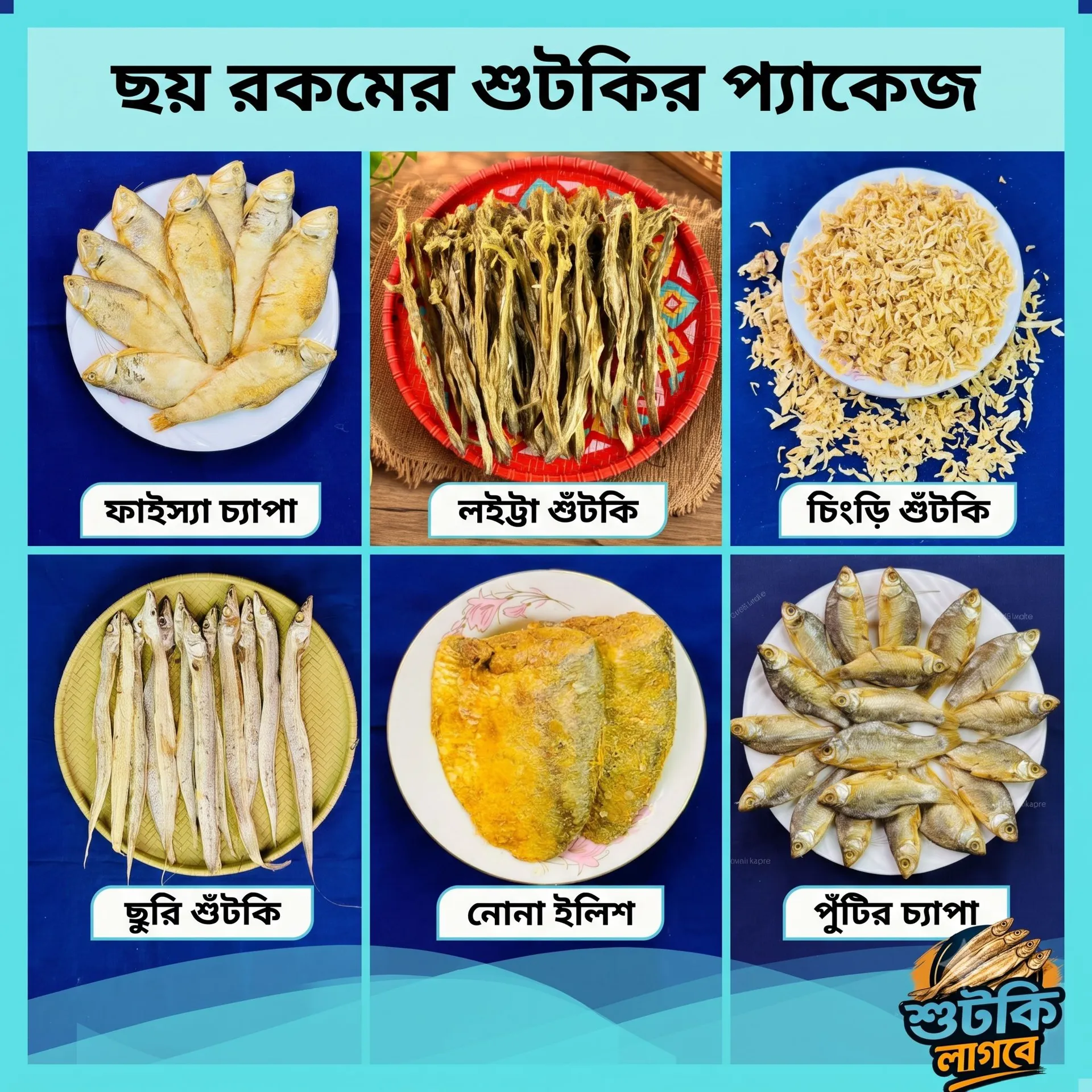 ছয় রকমের শুটকির প্যাকেজ ৫০০ গ্রাম